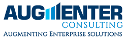 Augmenter Biz Consulting